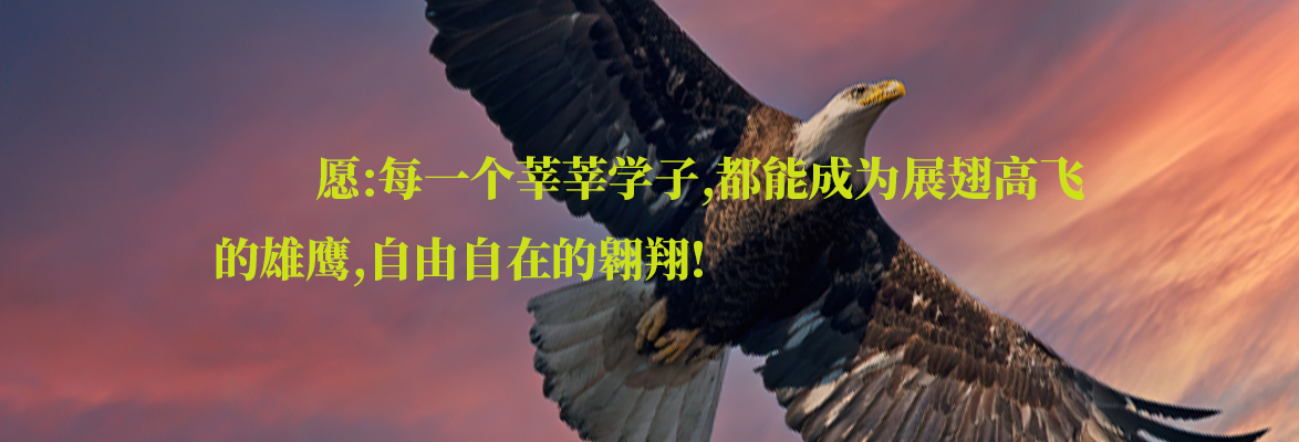 幻灯片-志愿填报经验分享